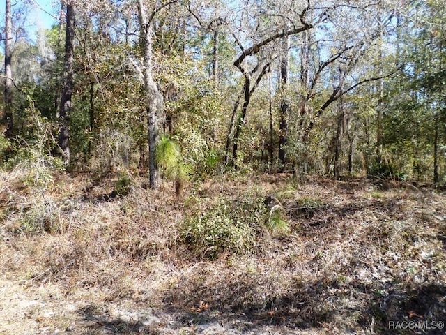 LOT2 SW 215th Ave, Dunnellon, FL 34431
