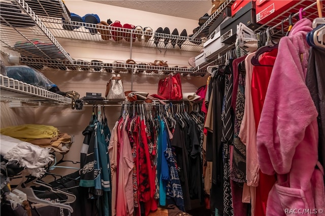 view of spacious closet