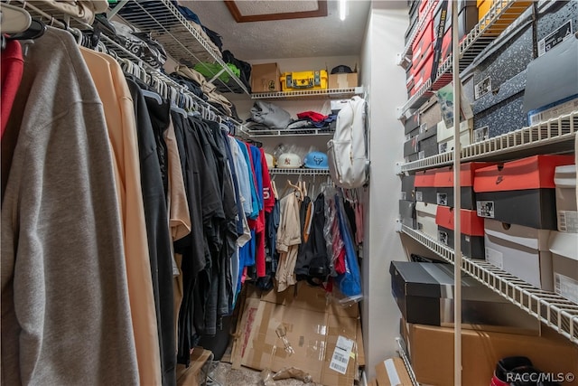 view of walk in closet