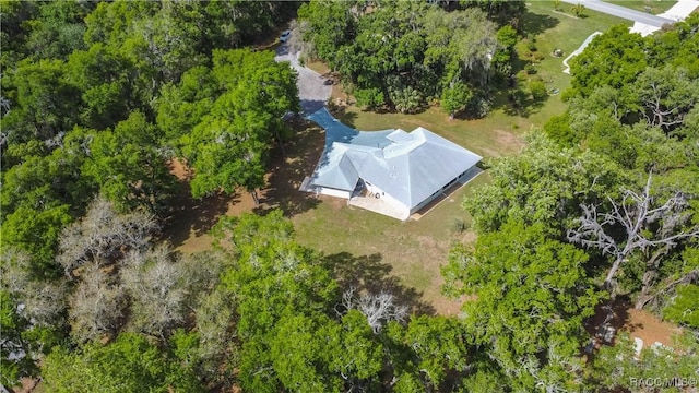 3339 E Axelford Ct, Hernando, FL 34442 - aerial view of property and surrounding area