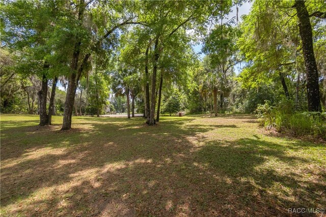3339 E Axelford Ct, Hernando, FL 34442 - view of grassy yard