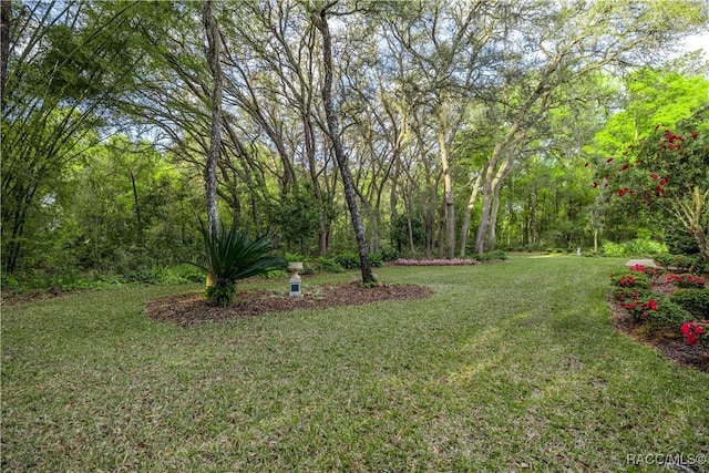 5889 NE 43rd Lane Rd, Silver Springs, FL 34488 - photo 37