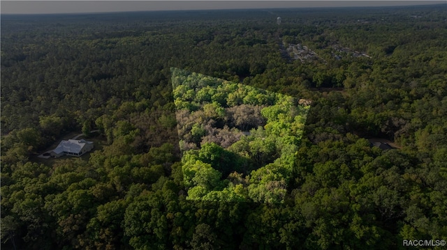 5889 NE 43rd Lane Rd, Silver Springs, FL 34488 - photo 43