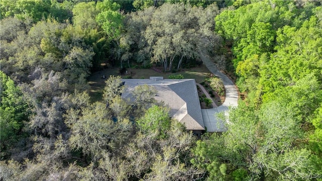 5889 NE 43rd Lane Rd, Silver Springs, FL 34488 - photo 42