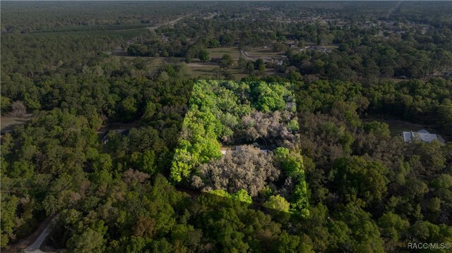 5889 NE 43rd Lane Rd, Silver Springs, FL 34488 - photo 44