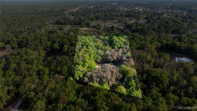 5889 NE 43rd Lane Rd, Silver Springs, FL 34488 - photo 2