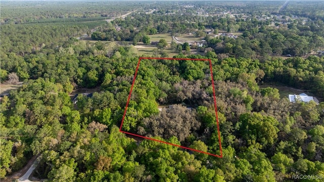 5889 NE 43rd Lane Rd, Silver Springs, FL 34488 - photo 4