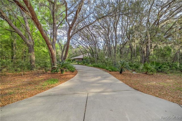 5889 NE 43rd Lane Rd, Silver Springs, FL 34488 - photo 7
