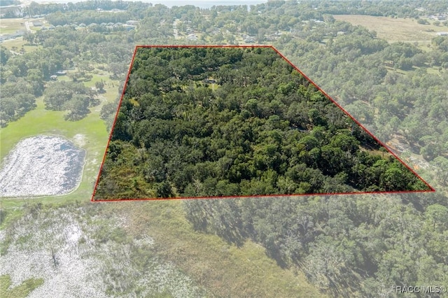 6301 E Turner Camp Rd, Inverness, FL 34453 - aerial view of property and surrounding area with property boundaries highlighted and a forest