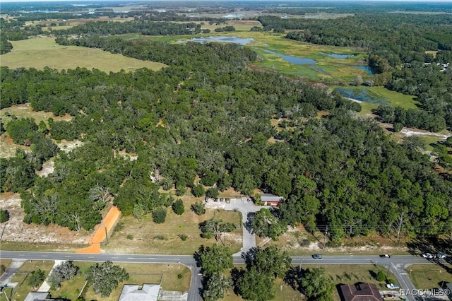6301 E Turner Camp Rd, Inverness, FL 34453 - view of property location featuring a large body of water and a forest