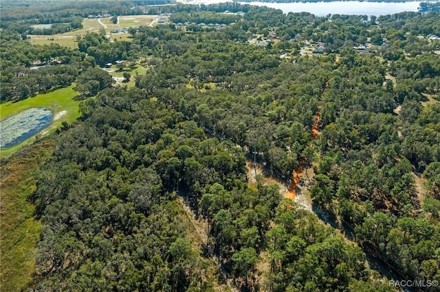 6301 E Turner Camp Rd, Inverness, FL 34453 - aerial overview of property's location with a forest and a nearby body of water