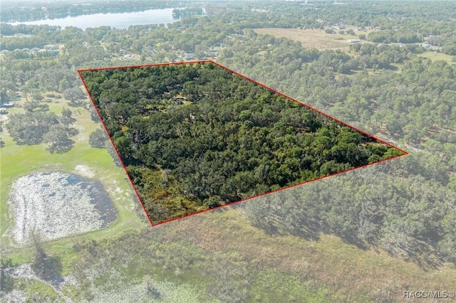 6301 E Turner Camp Rd, Inverness, FL 34453 - aerial view of property and surrounding area featuring property boundaries highlighted and a nearby body of water