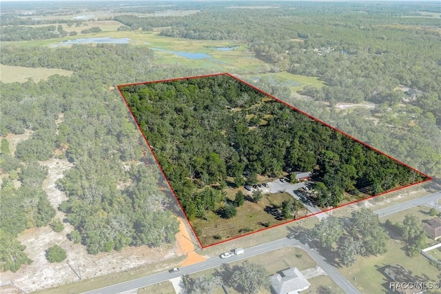 6301 E Turner Camp Rd, Inverness, FL 34453 - view of property location with property parcel outlined and a forest