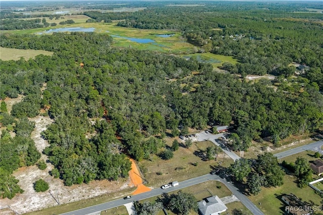 6301 E Turner Camp Rd, Inverness, FL 34453 - drone / aerial view of a heavily wooded area and a large body of water