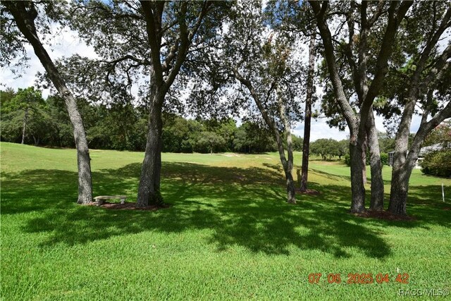 4873 N El Camino Dr, Beverly Hills, FL 34465 - photo 42