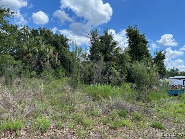 4279 E Texas St, Hernando, FL 34442 - photo 5