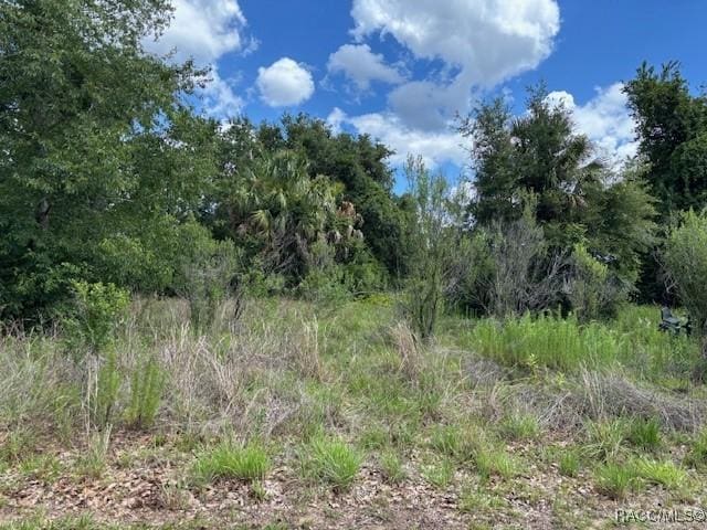4279 E Texas St, Hernando, FL 34442 - photo 4