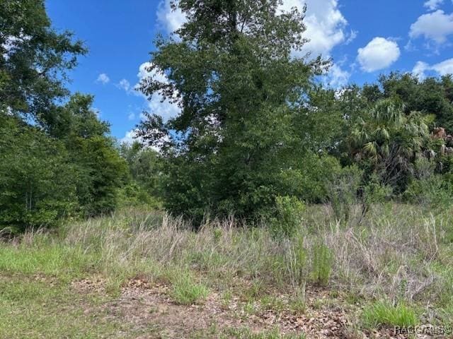 4279 E Texas St, Hernando, FL 34442 - photo 2