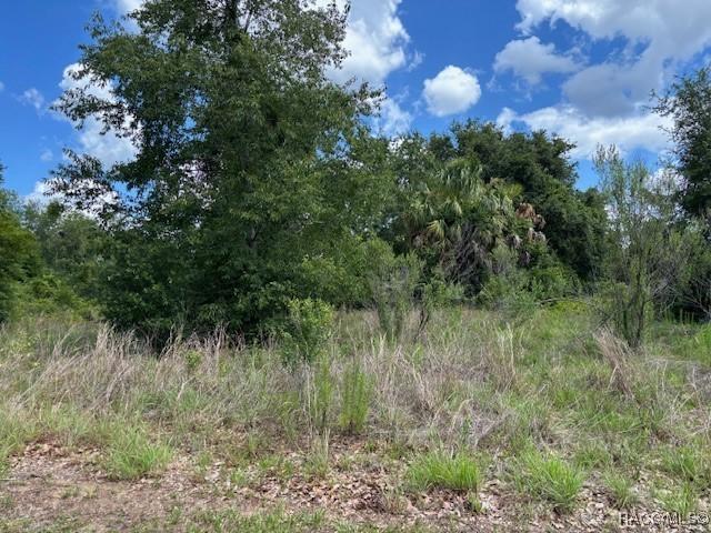 4279 E Texas St, Hernando, FL 34442 - photo 3