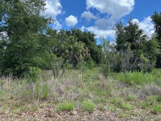 4279 E Texas St, Hernando, FL 34442 - photo 1
