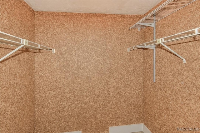 7 Michigan St, Beverly Hills, FL 34465 - view of spacious closet
