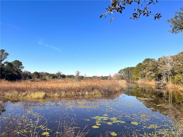 Listing photo 2 for 1903 W Springlake Dr, Dunnellon FL 34434