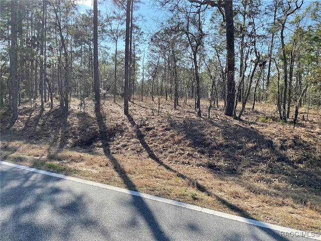 Listing photo 3 for LOT14 NW Ridgewood Rd, Dunnellon FL 34431