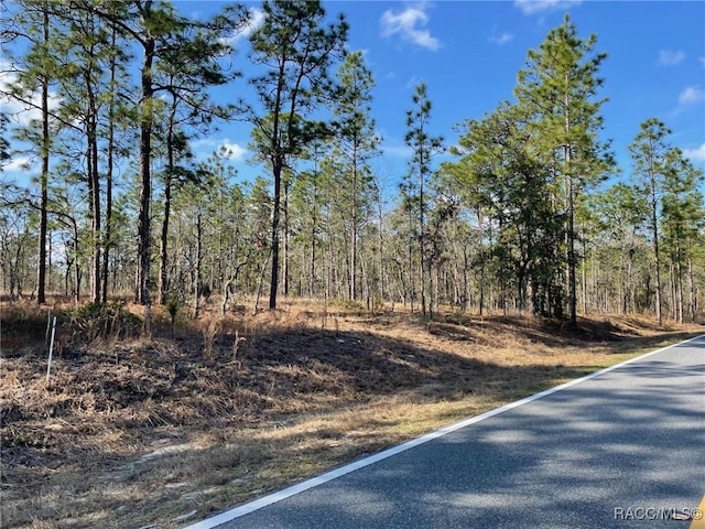 Listing photo 2 for LOT14 NW Ridgewood Rd, Dunnellon FL 34431