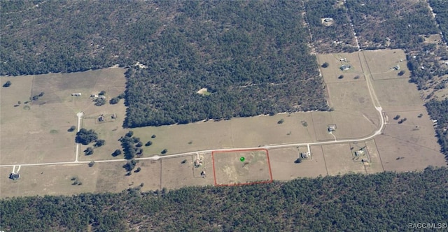 11230 S Brightstar Ave, Floral City, FL 34436 - photo 1