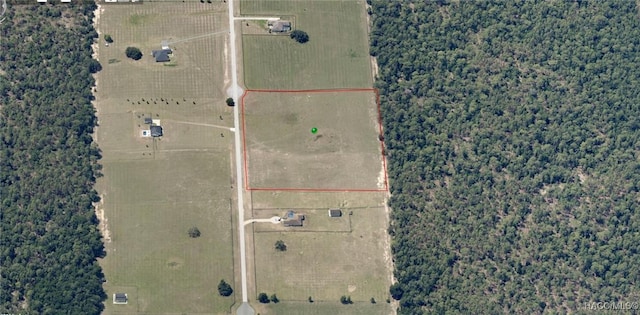 11230 S Brightstar Ave, Floral City, FL 34436 - photo 5
