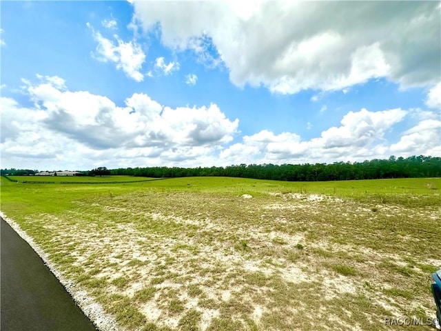 11230 S Brightstar Ave, Floral City, FL 34436 - photo 3