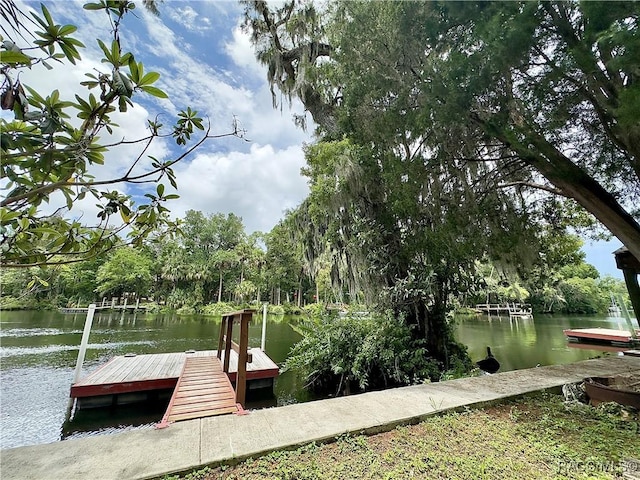 dock area with a water view