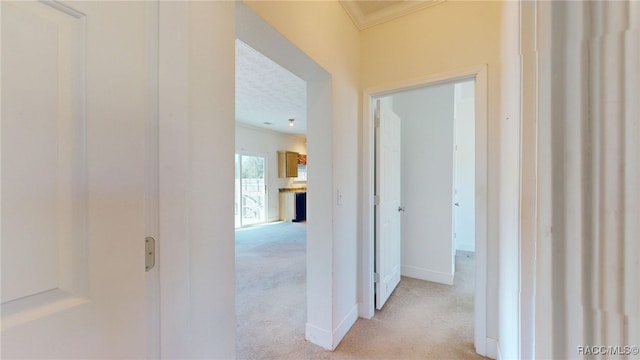 hallway with light carpet, baseboards, and ornamental molding