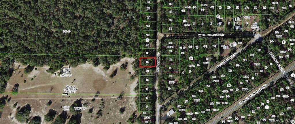 10366 N Dunedin Rd, Dunnellon, FL 34433 - photo 2