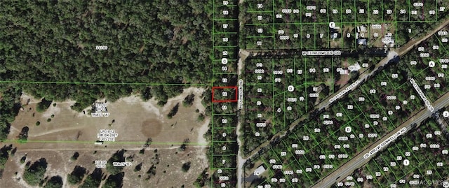 10366 N Dunedin Rd, Dunnellon, FL 34433 - photo 2