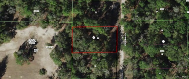 10366 N Dunedin Rd, Dunnellon, FL 34433 - photo 3