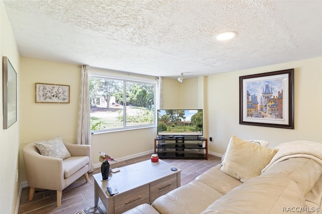 living room featuring a textured ceiling