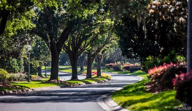 view of property's community