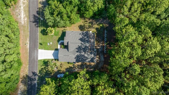 7909 N Ibsen Dr, Citrus Springs, FL 34433 - photo 41
