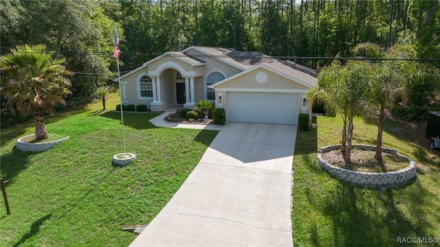 7909 N Ibsen Dr, Citrus Springs, FL 34433 - photo 38
