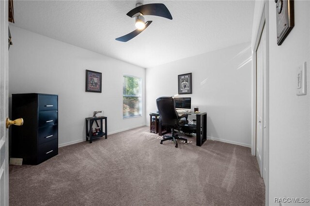 7909 N Ibsen Dr, Citrus Springs, FL 34433 - photo 27