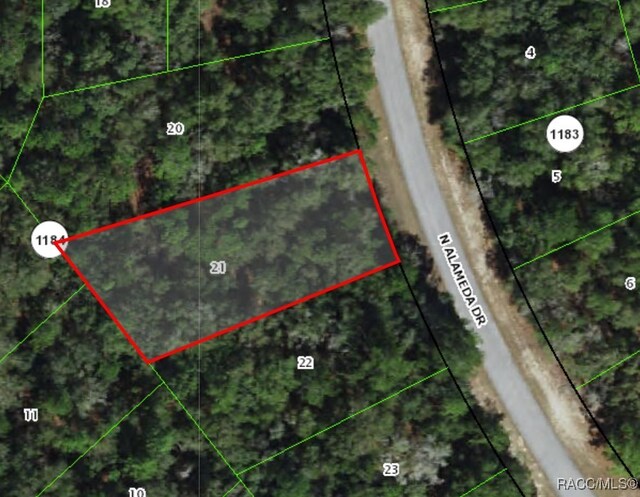 8904 N Alameda Dr, Citrus Springs, FL 34434 - photo 2