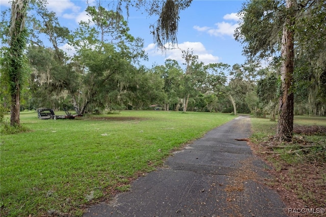 view of community featuring a lawn