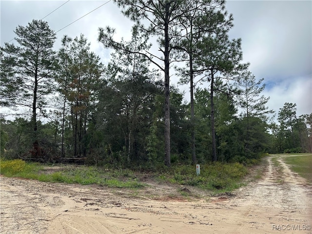 6610 W Mable Ln, Dunnellon FL, 34433 land for sale