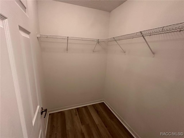 spacious closet with dark wood-style flooring