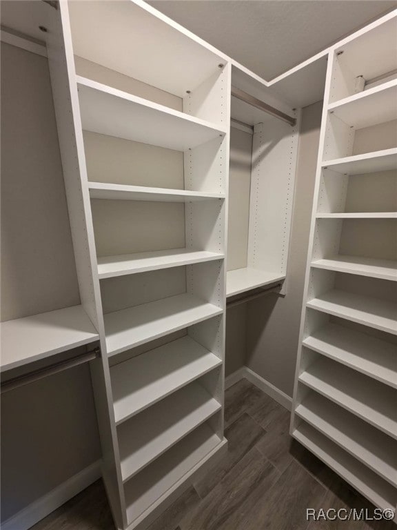 walk in closet featuring dark wood finished floors