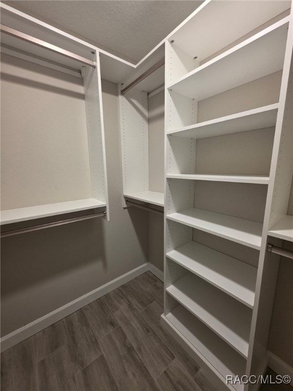 walk in closet featuring dark wood-type flooring