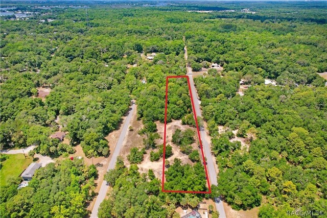 610 NE 13th Ter, Crystal River, FL 34428 - photo 4