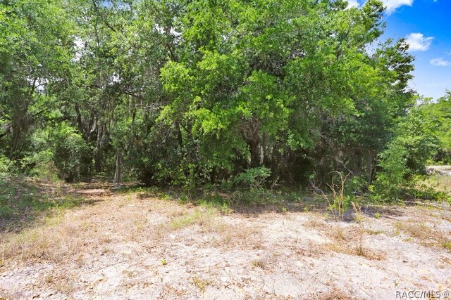 610 NE 13th Ter, Crystal River, FL 34428 - photo 20