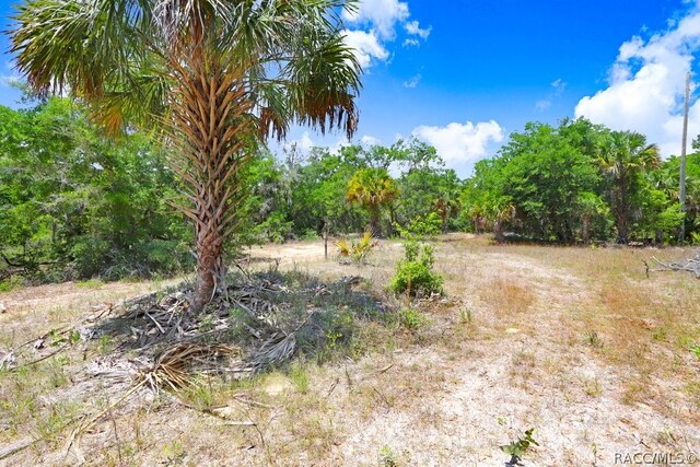 610 NE 13th Ter, Crystal River, FL 34428 - photo 19